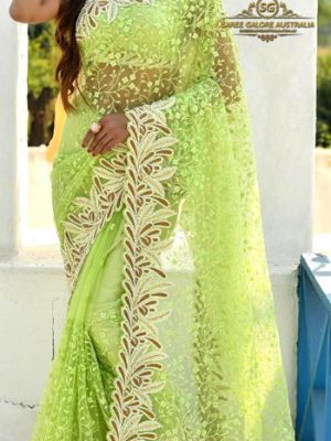 Exlusive Designer Saree @ Saree Galore Australia